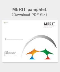 MERIT pamphlet