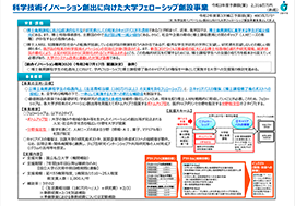 科学技術イノベーション創出に向けた大学フェローシップ創設事業概要資料 PDF