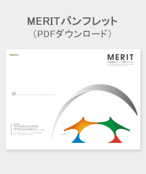 MERIT pamphlet